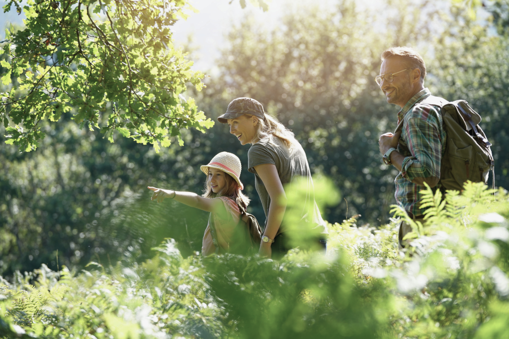 Children playing in the woods