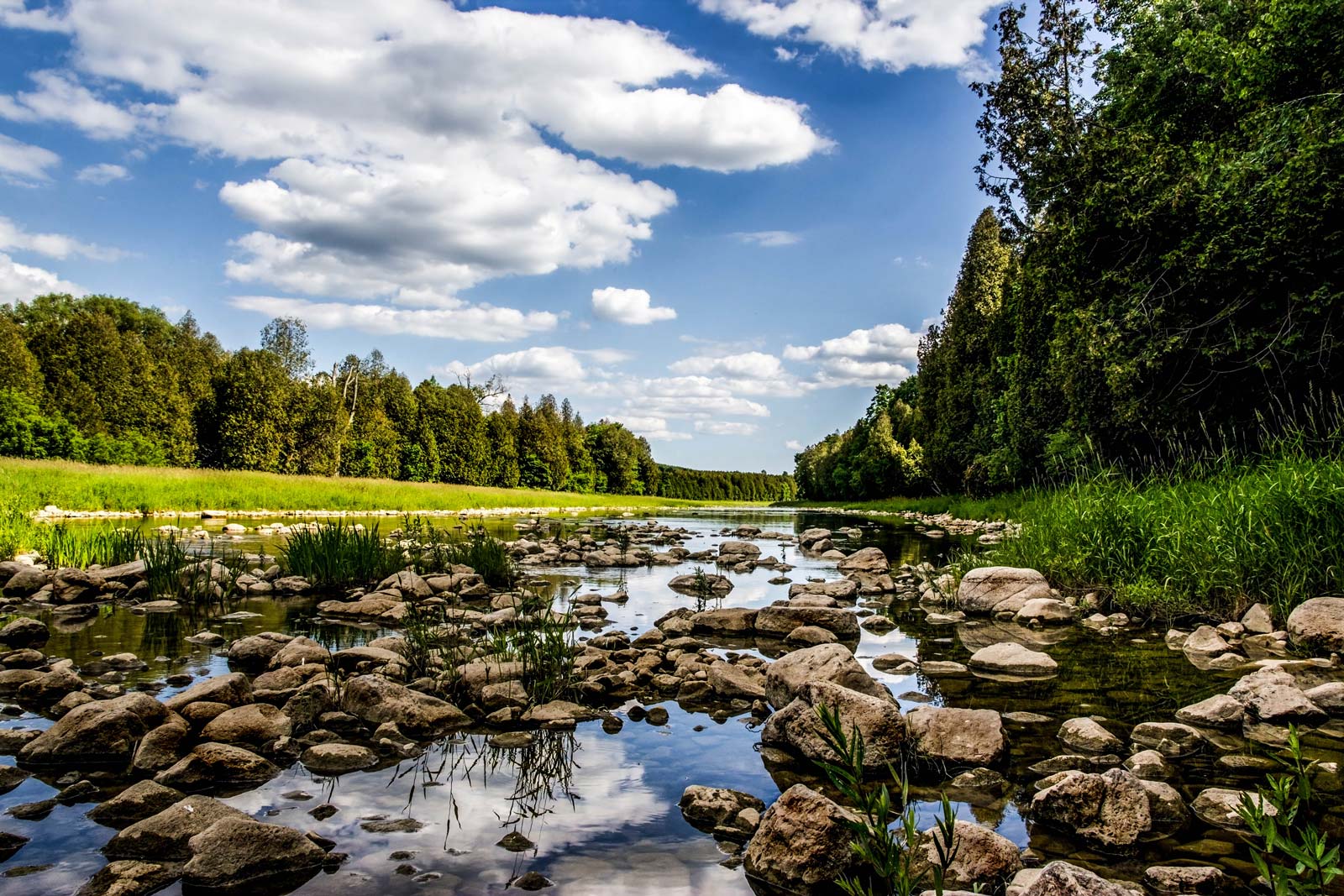 River and conservation area near Grand Valley